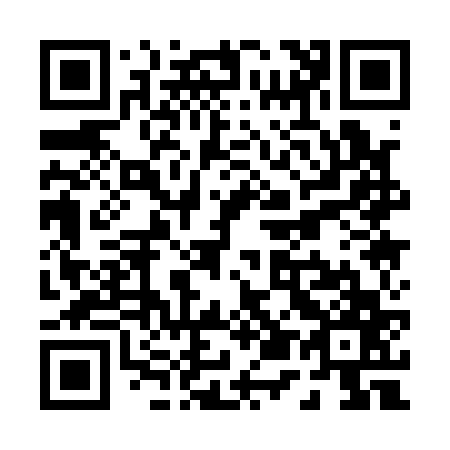 QR code for P51167