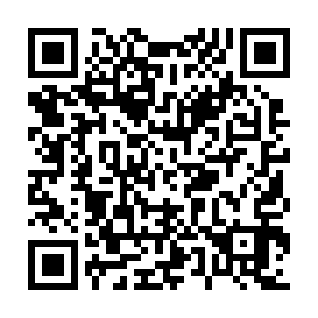 QR code for P51213
