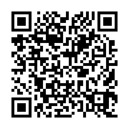 QR code for P51241
