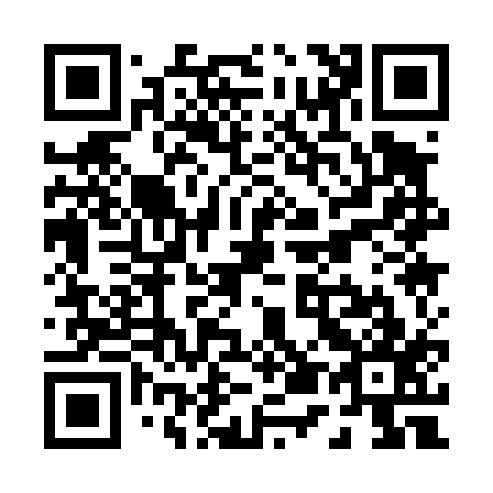 QR code for P51417