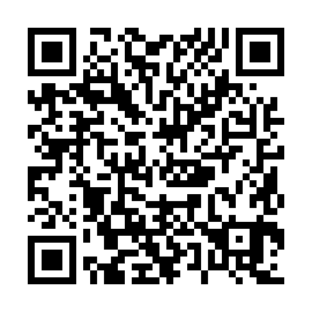 QR code for P51581
