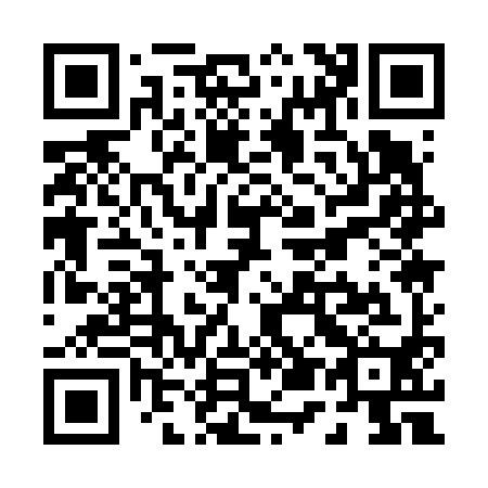 QR code for P51690