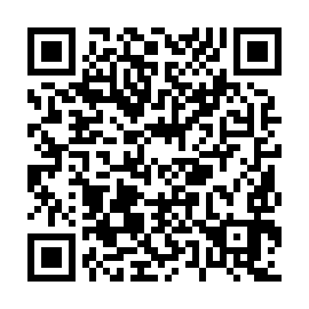 QR code for P51893