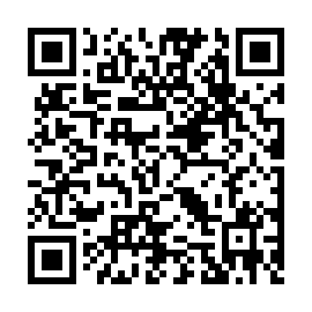 QR code for P52401