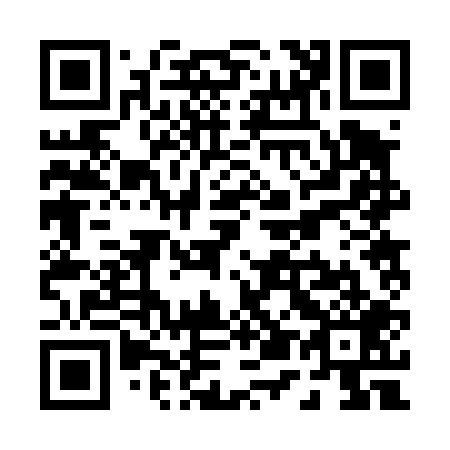 QR code for P52409