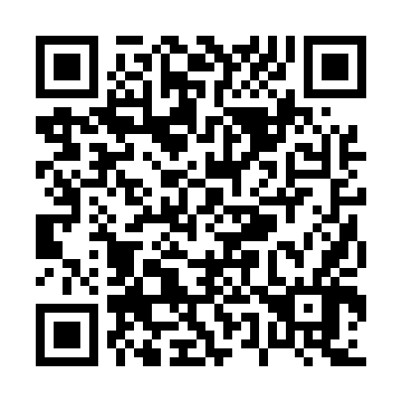 QR code for P52546