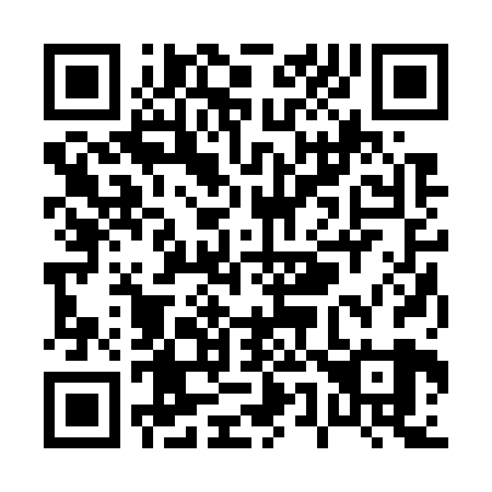QR code for P52729