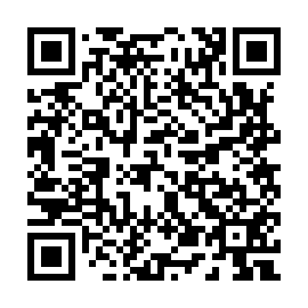 QR code for P52951