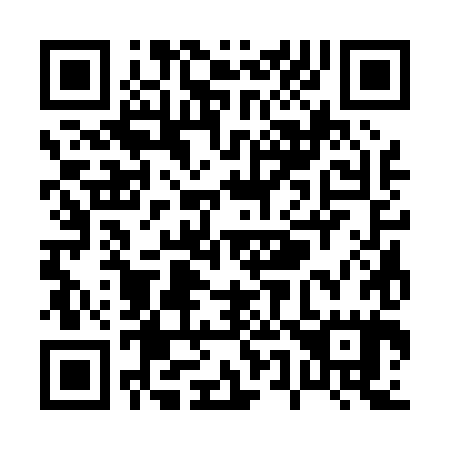 QR code for P53085