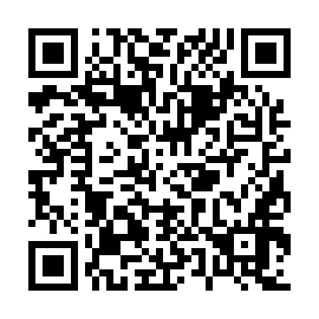 QR code for P53156