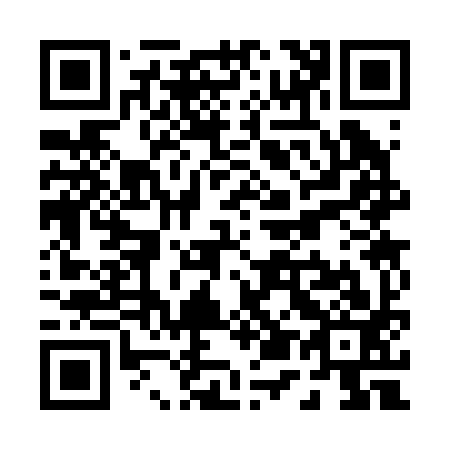 QR code for P53293