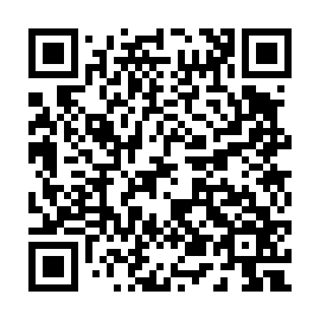 QR code for P53466