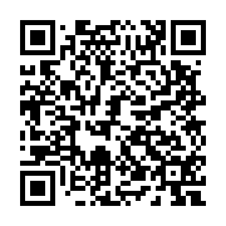 QR code for P53514