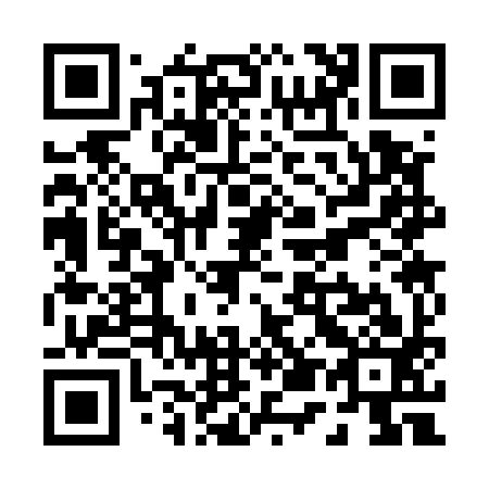 QR code for P53593