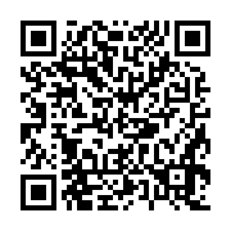 QR code for P53876