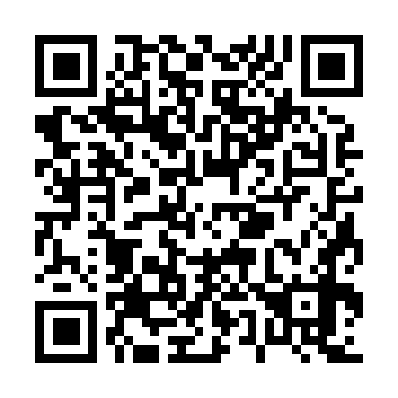QR code for P53878