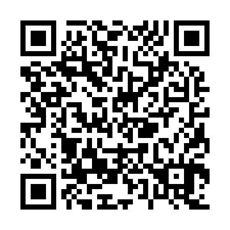 QR code for P53904