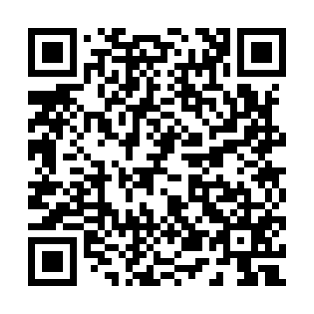 QR code for P53955