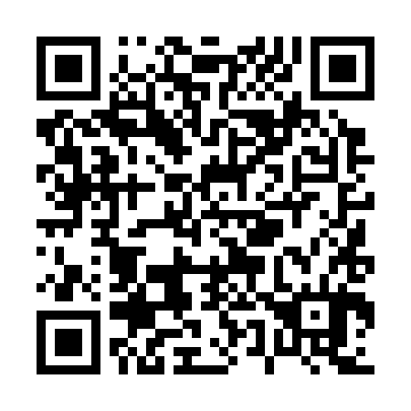 QR code for P54384