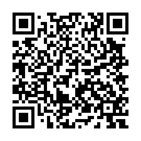 QR code for P55013