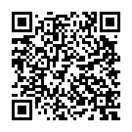 QR code for P55028