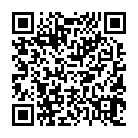 QR code for P55245