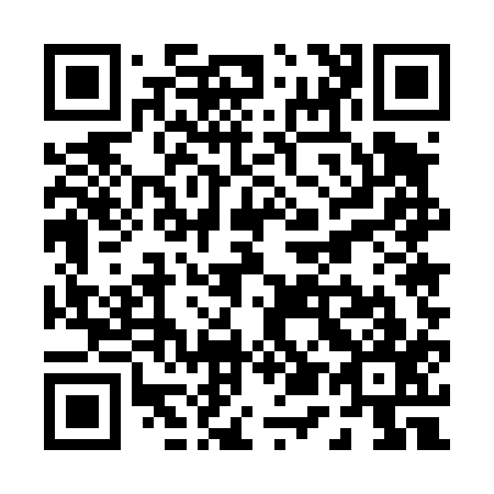 QR code for P55417