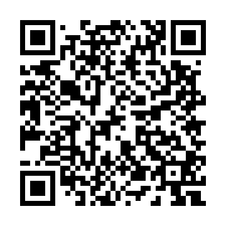QR code for P55500