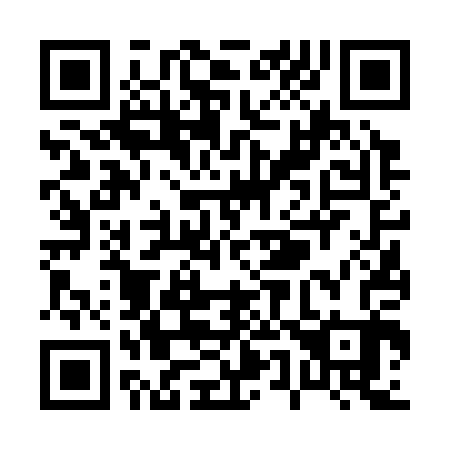 QR code for P56303