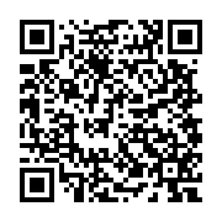 QR code for P56555