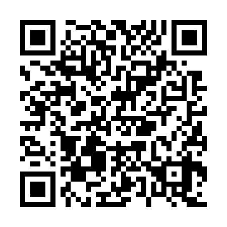 QR code for P56738