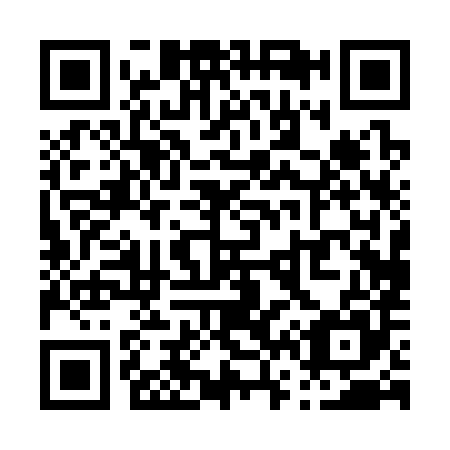 QR code for P60385