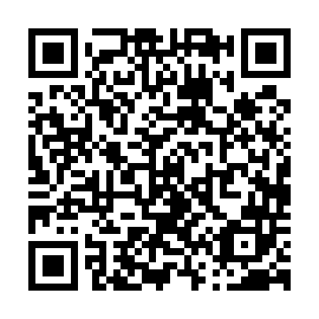 QR code for P60542
