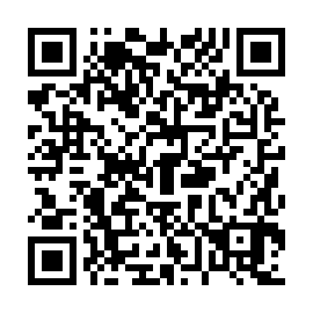 QR code for P60982