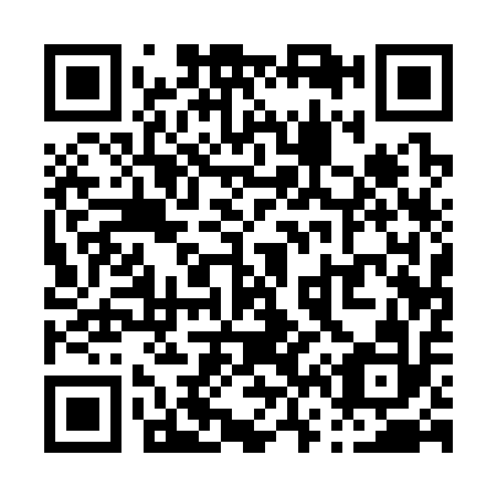 QR code for P61312