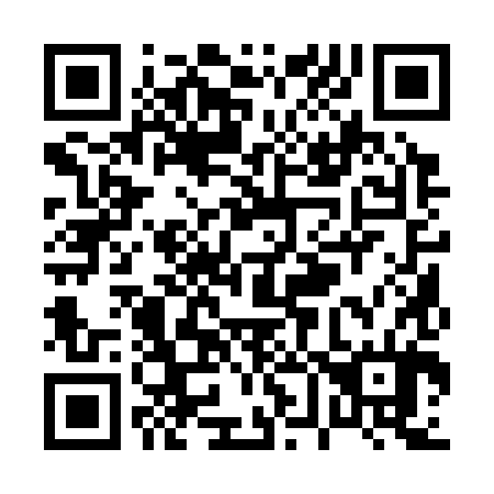 QR code for P61384