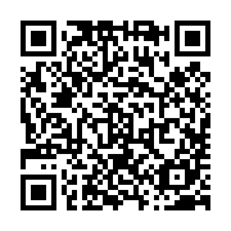 QR code for P62485