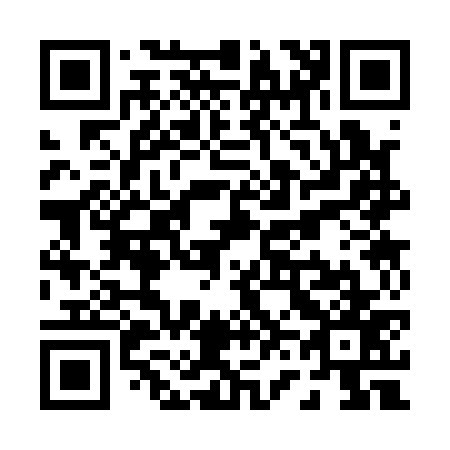 QR code for P63177