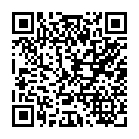 QR code for P63226