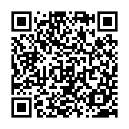 QR code for P63245