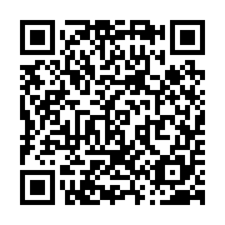 QR code for P63255