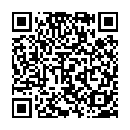 QR code for P63271