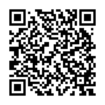 QR code for P63288