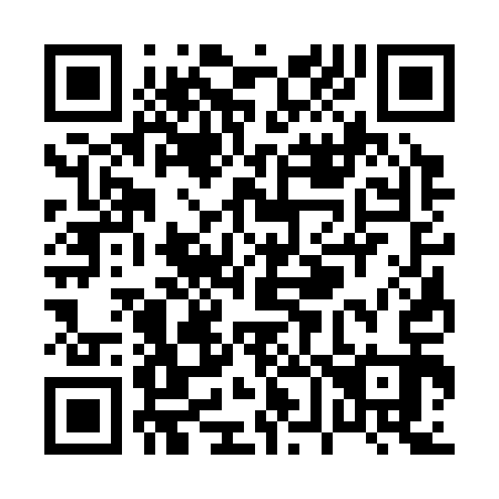 QR code for P63313
