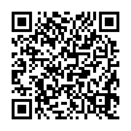 QR code for P63372
