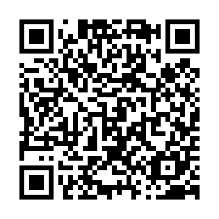 QR code for P63405