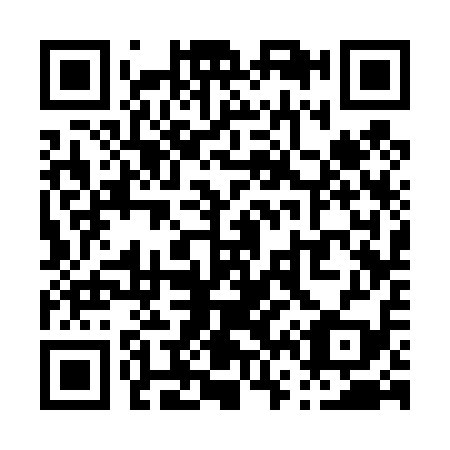 QR code for P63419