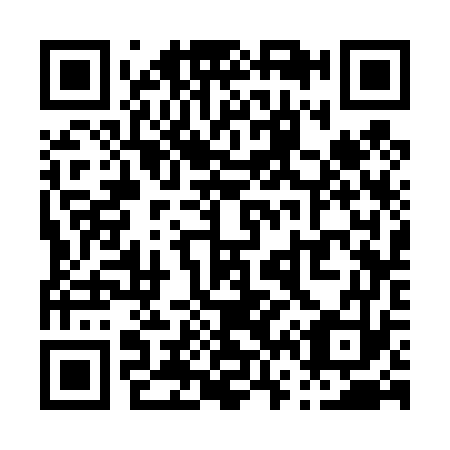 QR code for P63473