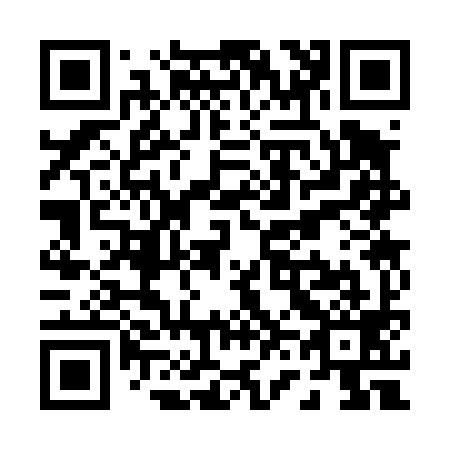 QR code for P63499