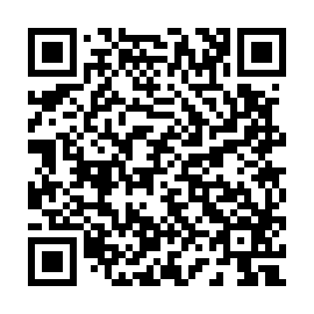 QR code for P63586